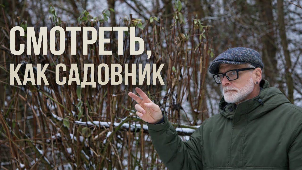 Что делать садовнику в ботаническом саду?