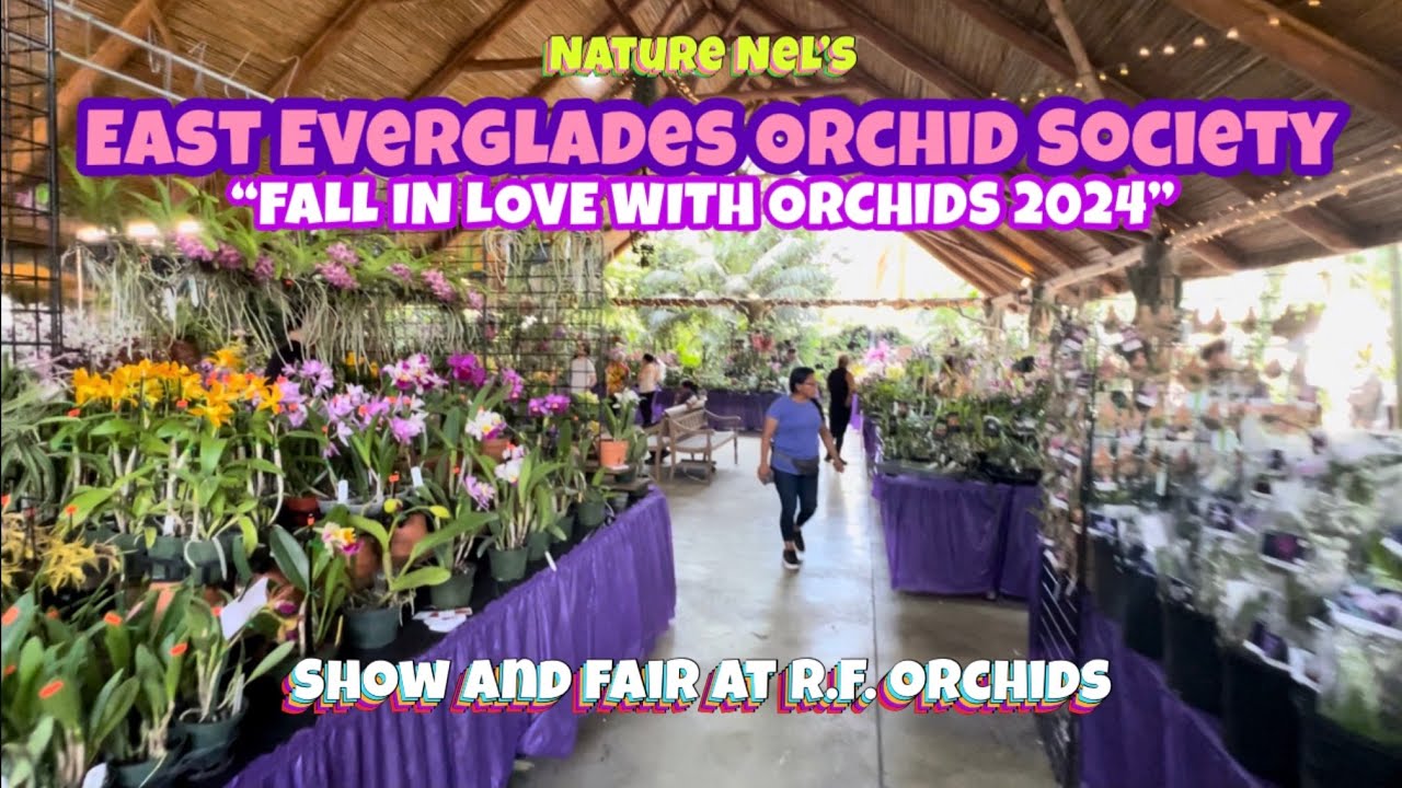 Great orchid fair and show presented by East Everglades Orchid Society at historical RF Orchids.