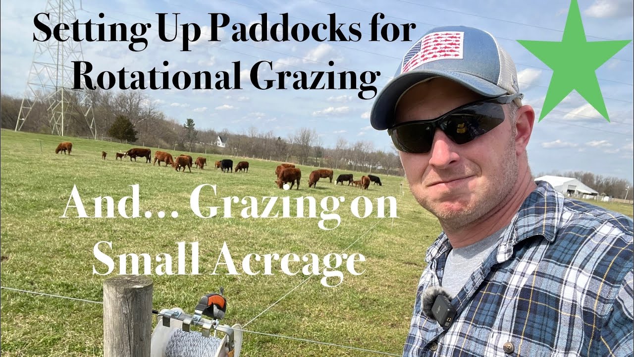 Setting Paddock Sizes and Grazing on Small Acreages
