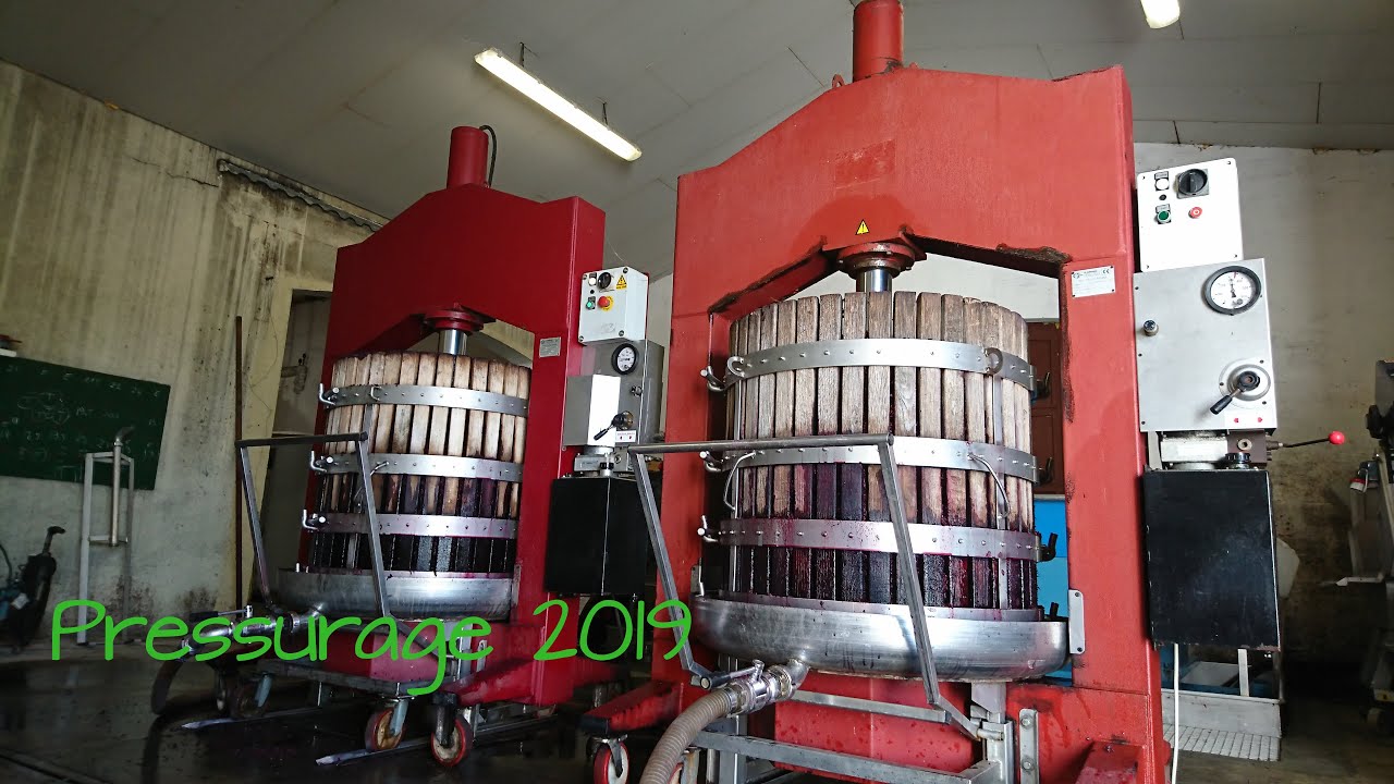 Ma Vie de Vigneron #8 Le Pressurage