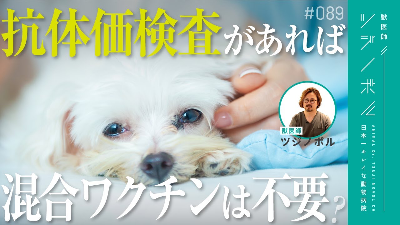 【保存版】ワクチンは病院の利益のため？獣医が真実を明かします【獣医師ツジノボル】