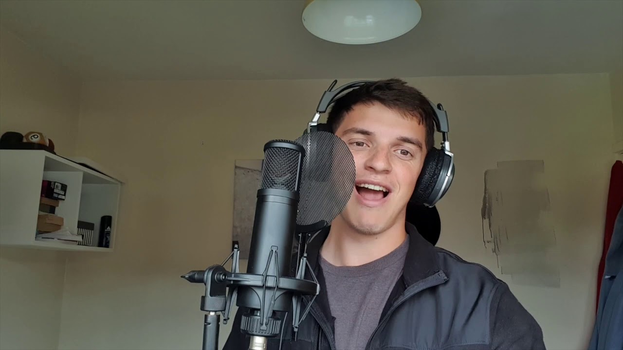 I've Got A Crush On You - Frank Sinatra Cover