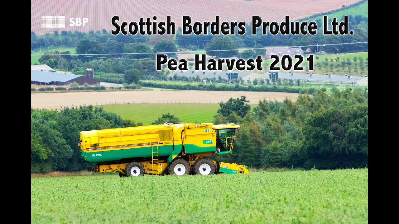 Scottish Borders Produce Ltd.       Pea Harvest 2021
