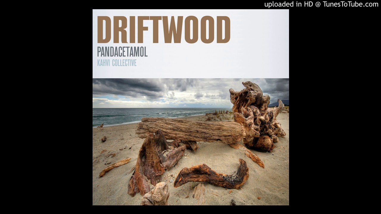 Pandacetamol - Tidal Fear