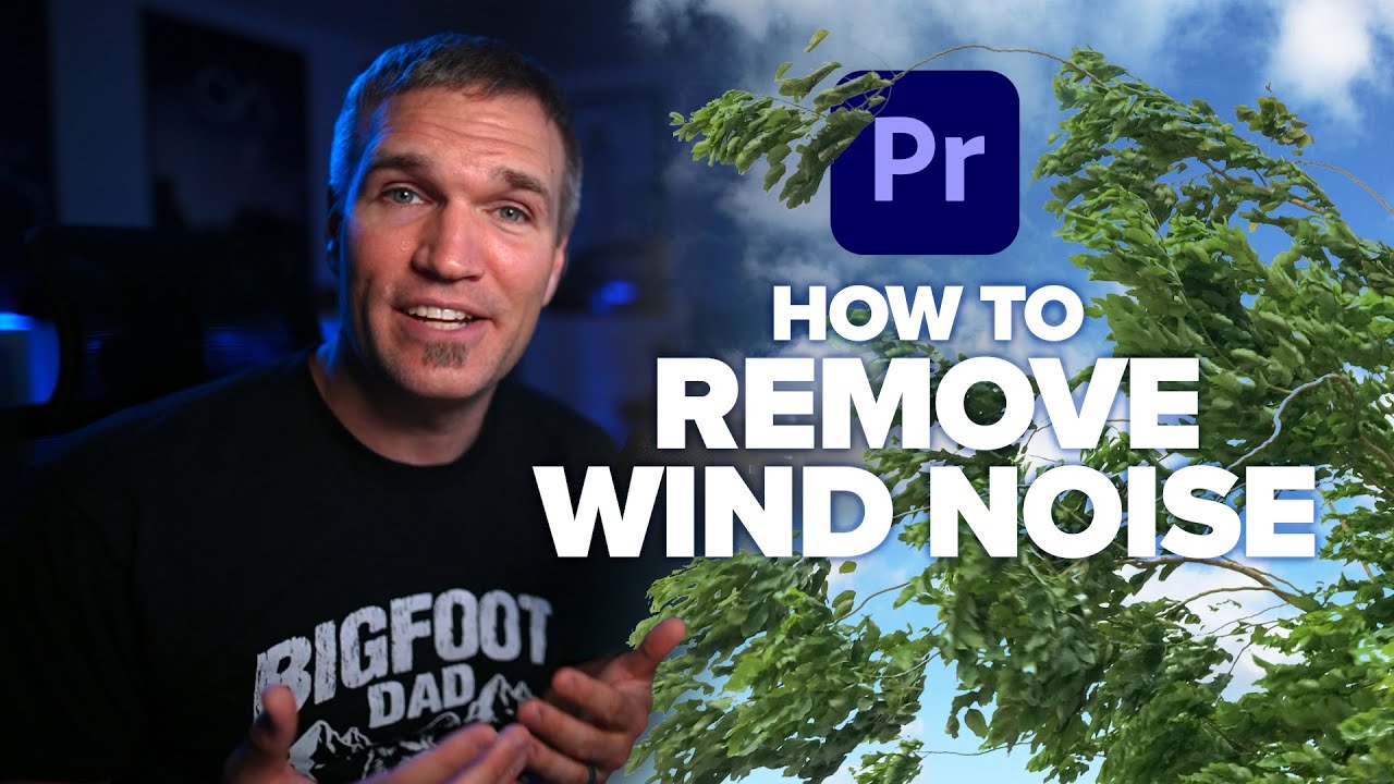 How to Remove Wind Noise in Premiere Pro &ndash; Built-In or Plugin