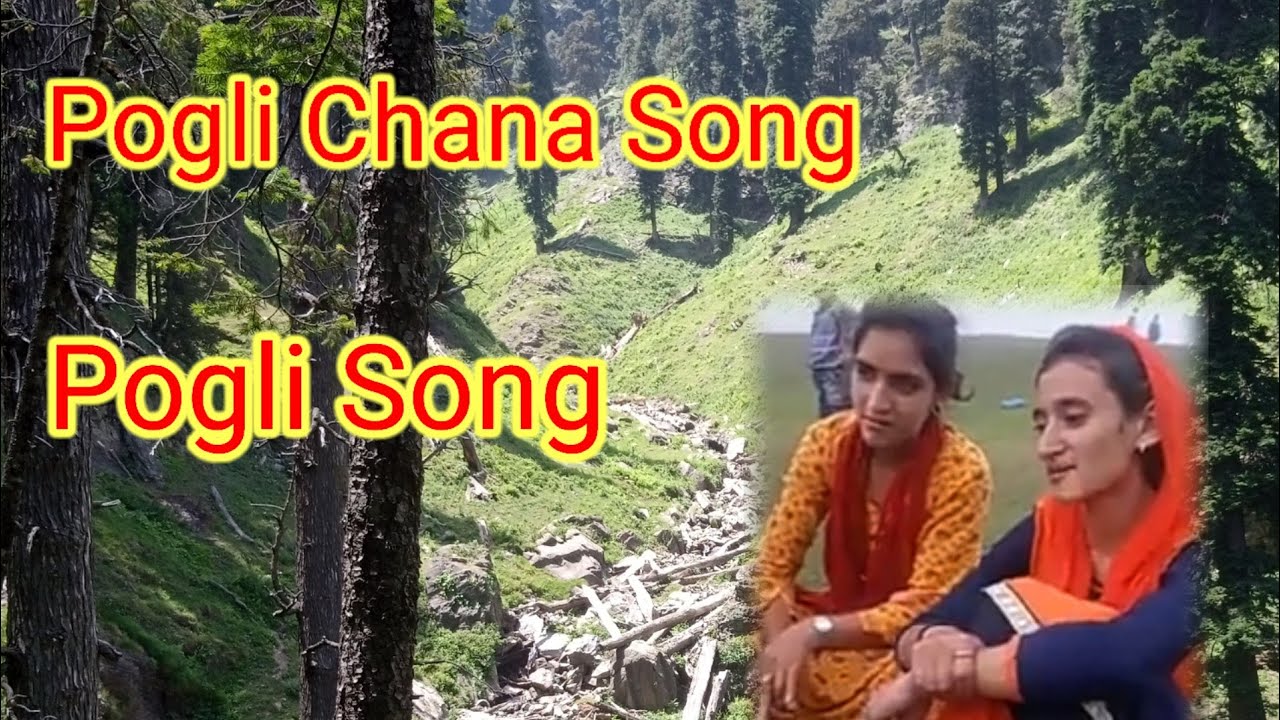 Pogli Super Chana || Pogli Bansari song || Pogli Culture || Pogli Bansari || @Chana