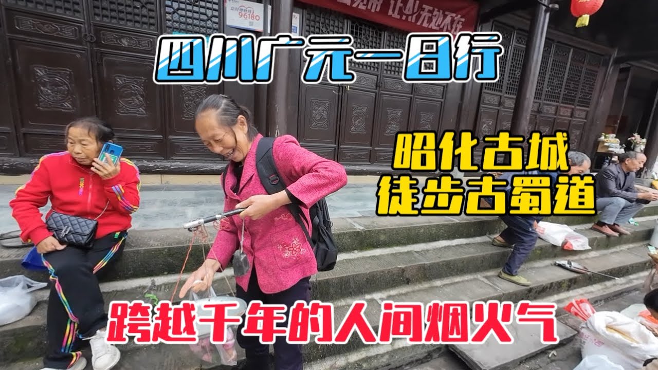 四川廣元有條古蜀道，走在裡面有種跨越千年時空的感覺，還碰到一隻小貓要跟我回現代！