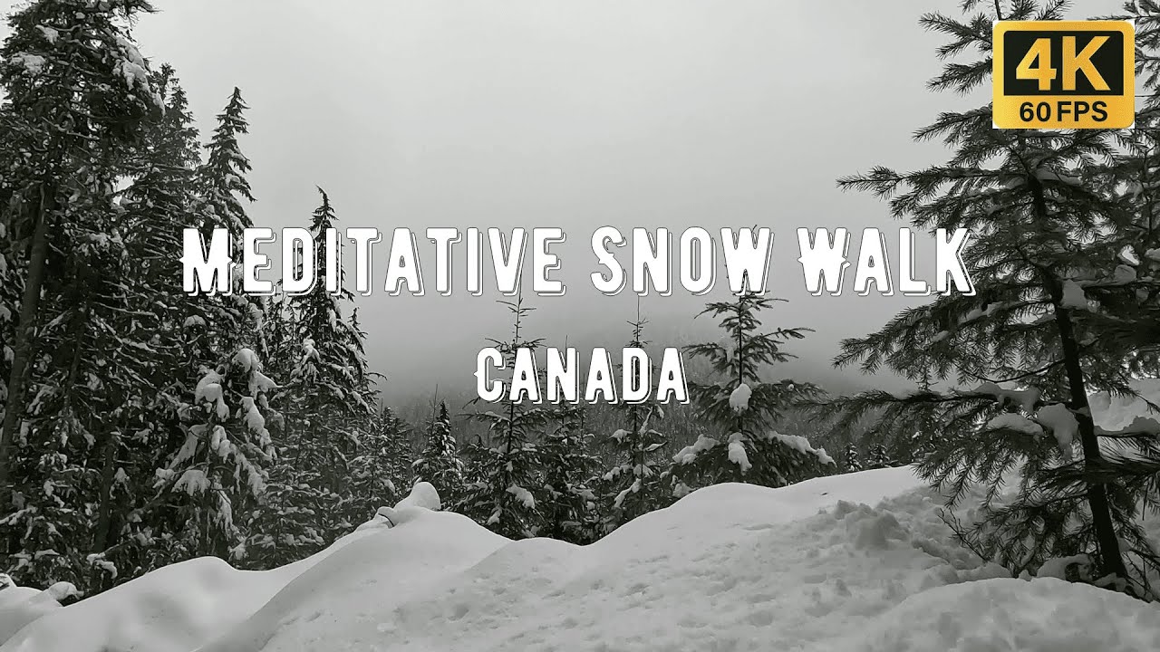 Winter Snow Forest Walk ❄️🌲 | Seven Bridges Trail, Revelstoke Canada | Relaxing Meditative Nature 4K