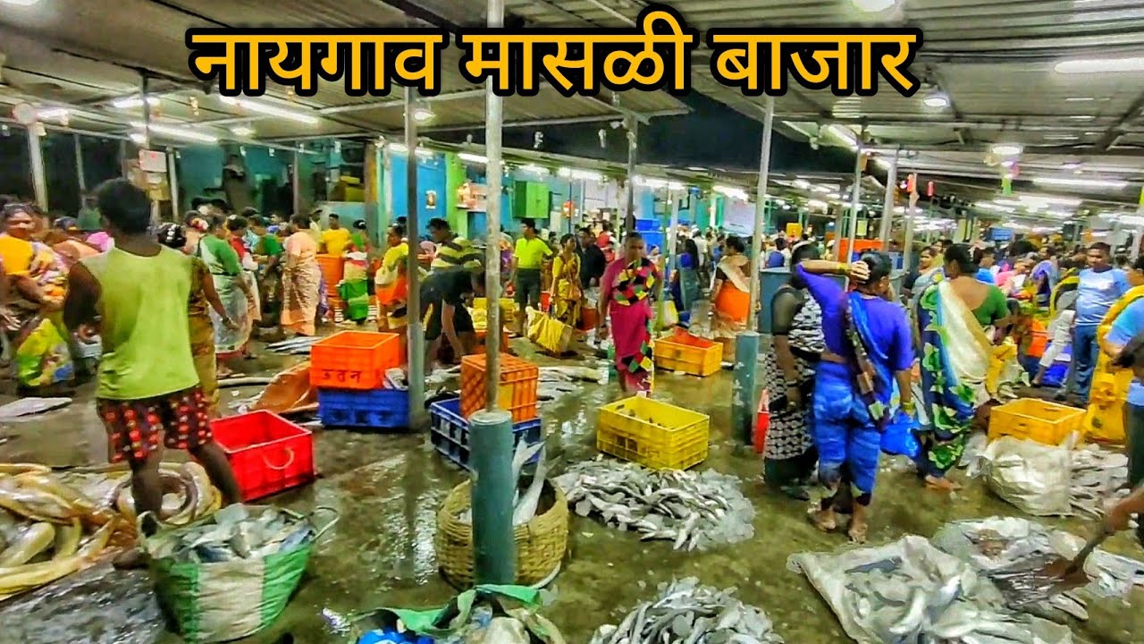 नायगाव मच्छी मार्केट | NIGHT FISH MARKET | रात का फिश मार्केट | NAIGAON FISH MARKET |