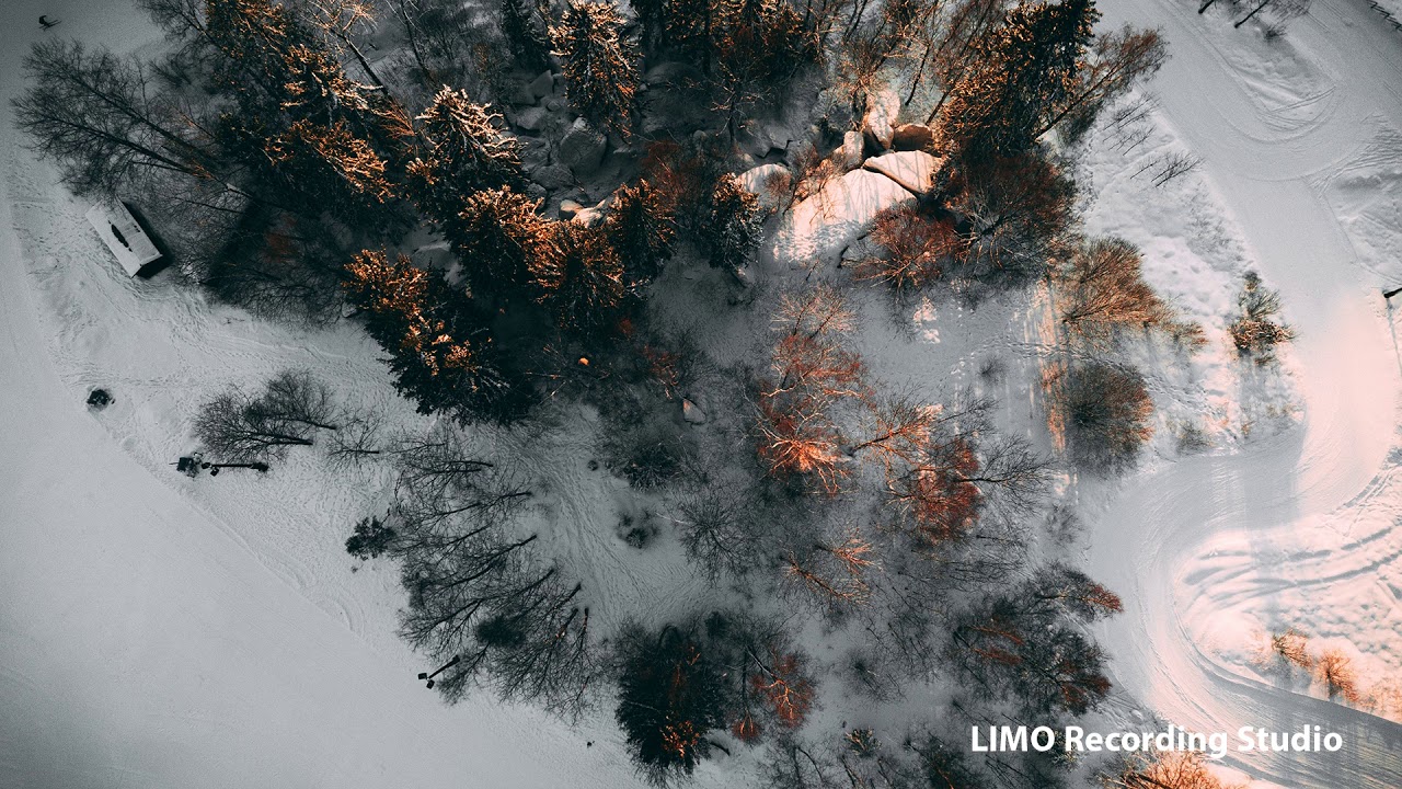 A Quiet Thought - Wayne Jones