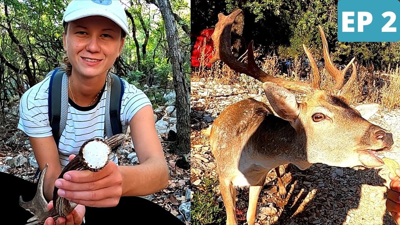 Sekretna Wyspa Danieli EP 2 | Znaleźliśmy daniele! + kolejne  swieże zrzuty | Zrzuty 2022