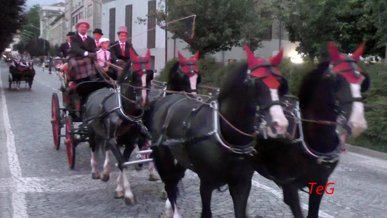 Completamento primo giro carrozze con cavalli - Ivrea - San Savino 2021