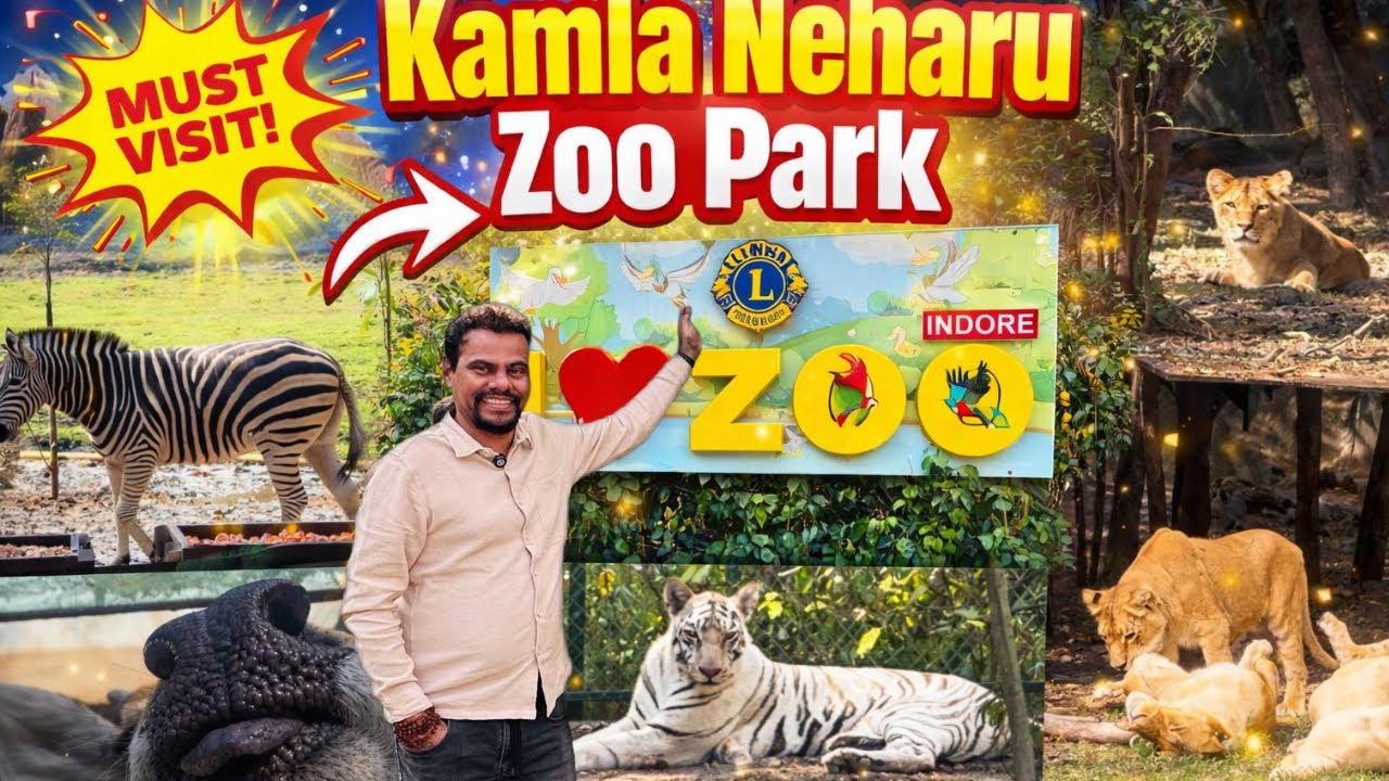 Place to see in Indore |Indore Zoo Tour | White Tiger Zebra Lion Kamla Nehru Prani Sangrahalay Guide