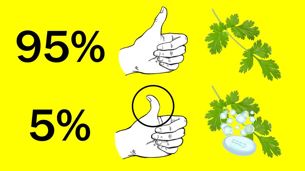 10 Cosas que solo algunos pueden hacer 😮😲