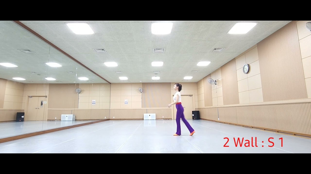 One Night Only - WDM Novice Line Dance (Tutorial)