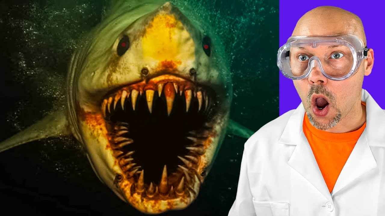 The World’s Biggest SHARK