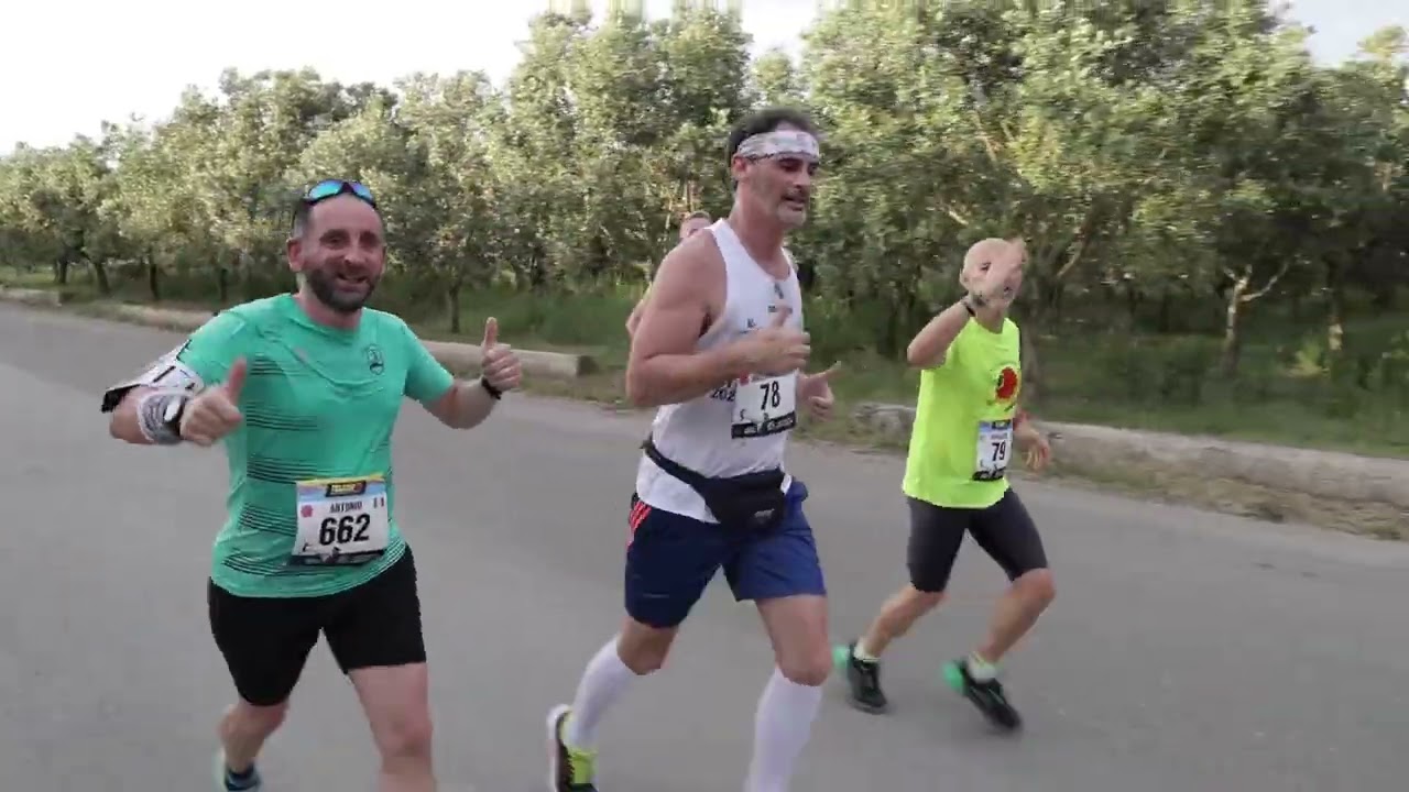 Telesia 10K 2024