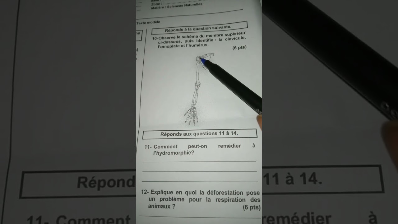 Mod&egrave;le examen 9&egrave;me Juin 2025) sciences Naturelles(Biologie)
