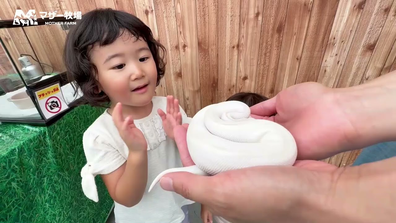 【マザー牧場 夏フェス2025】いきものさわっちゃ王国