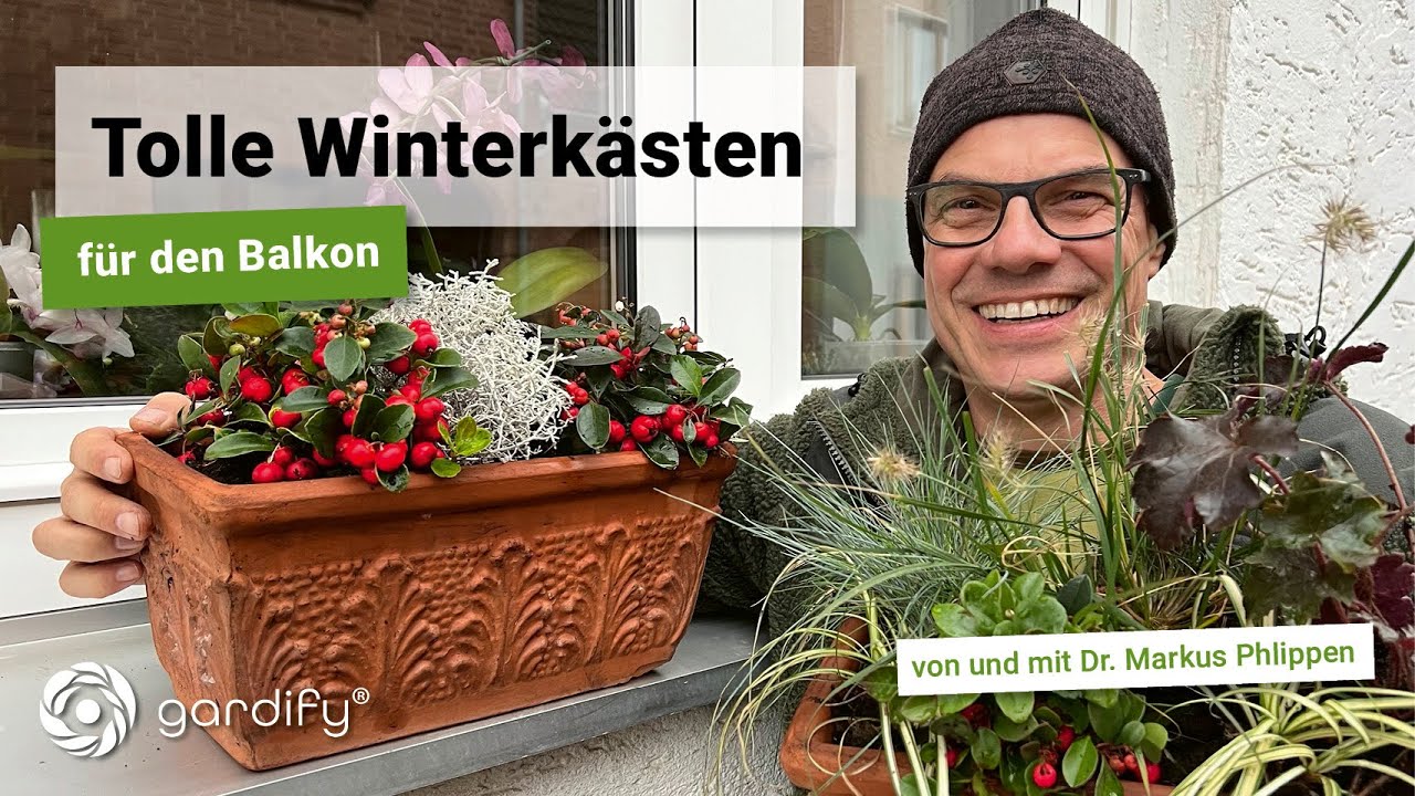 Tolle Winterkästen für den Balkon, Pflegeleichte Winterbepflanzung | gardify Tipps