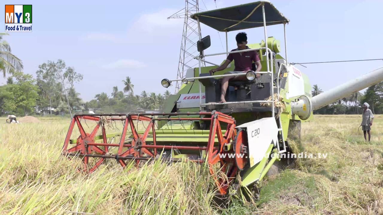 Paddy Rice Cutter | Paddy Cutting Machine | Paddy Rice Cutter Machine