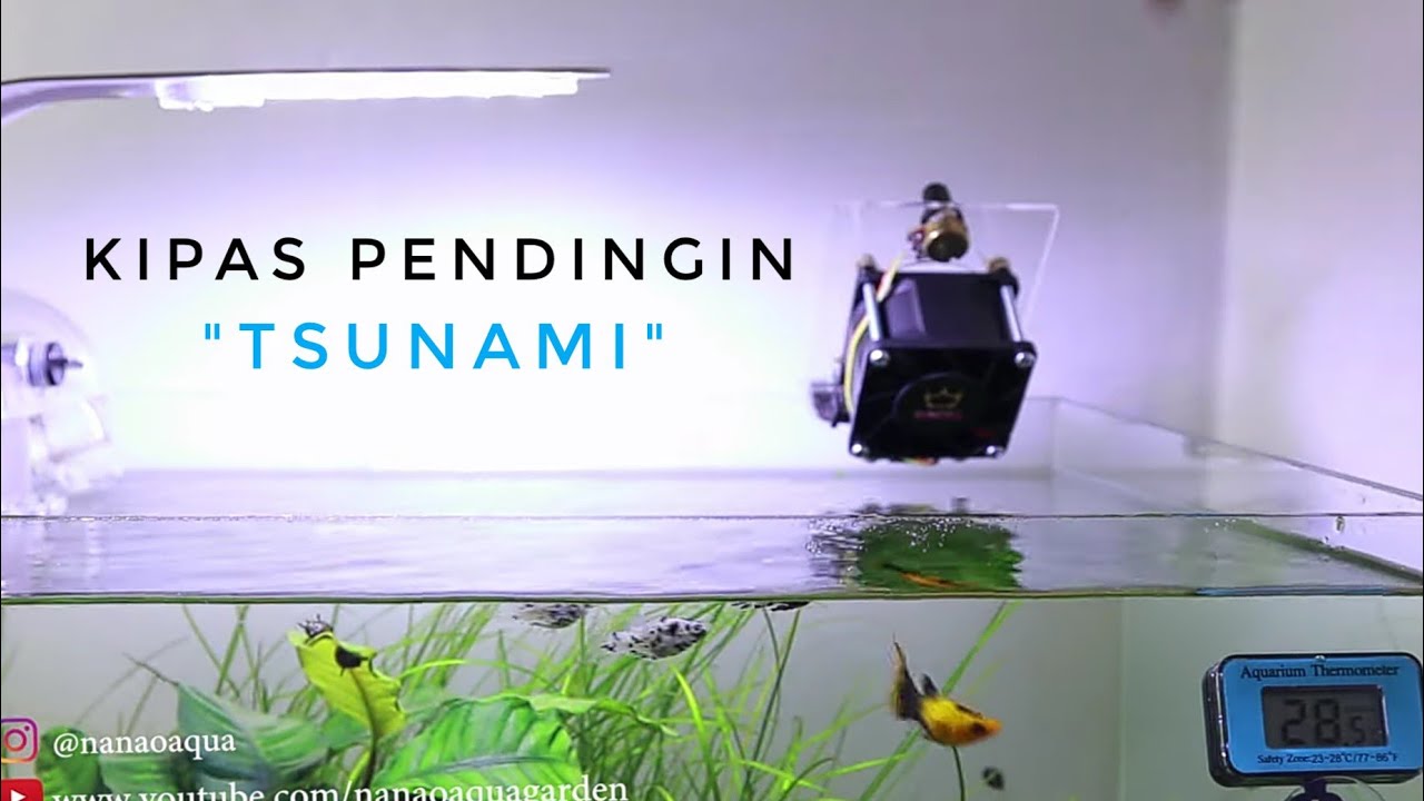 UNBOXING dan REVIEW KIPAS BADAI TSUNAMI AQUASCAPE by SUNCELL