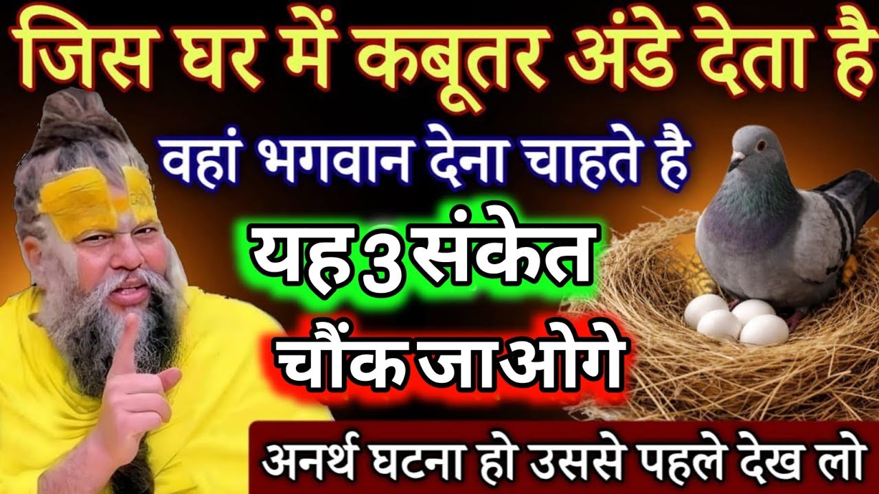 जिस घर मे कबूतर अंडे देता है वहां भगवान देना चाहते हैं यह 3 संकेत, जानकार चौक जाओगे#premandjimaharaj