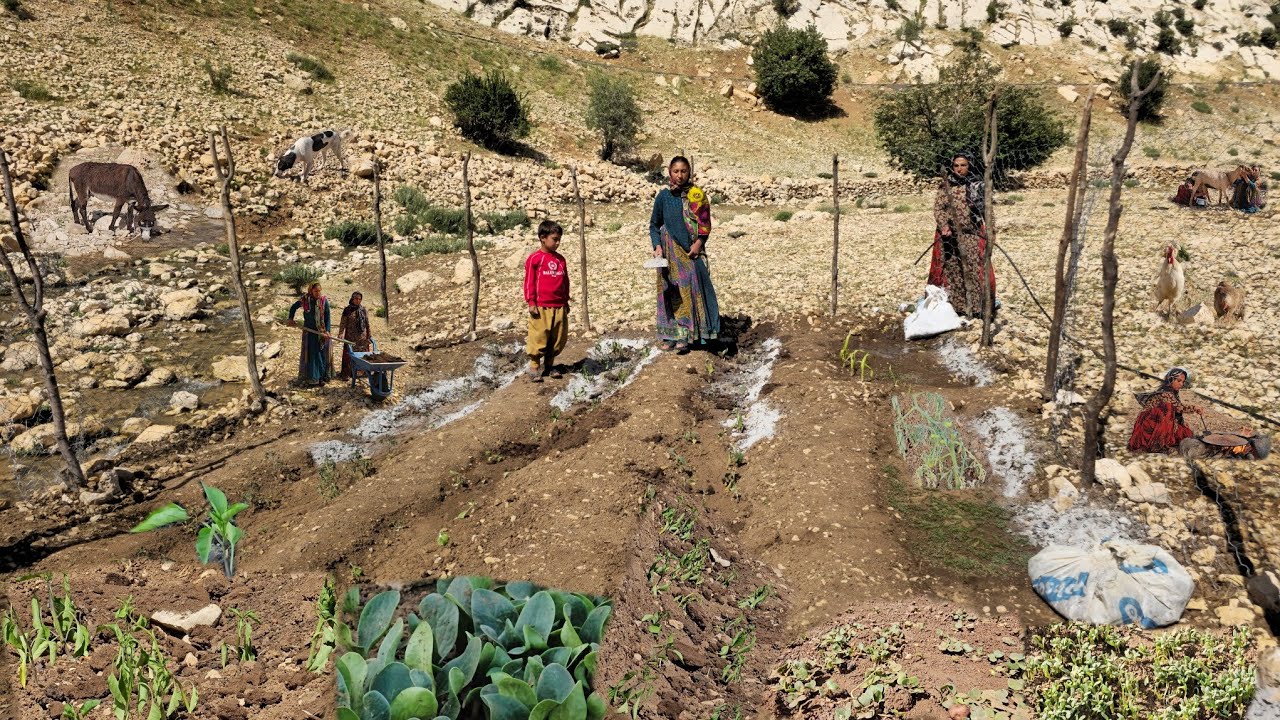 Nomadic Life: Agriculture Beautiful Nomadic Girls 🌱 | Charming Nomadic Traditions 🥛🫓