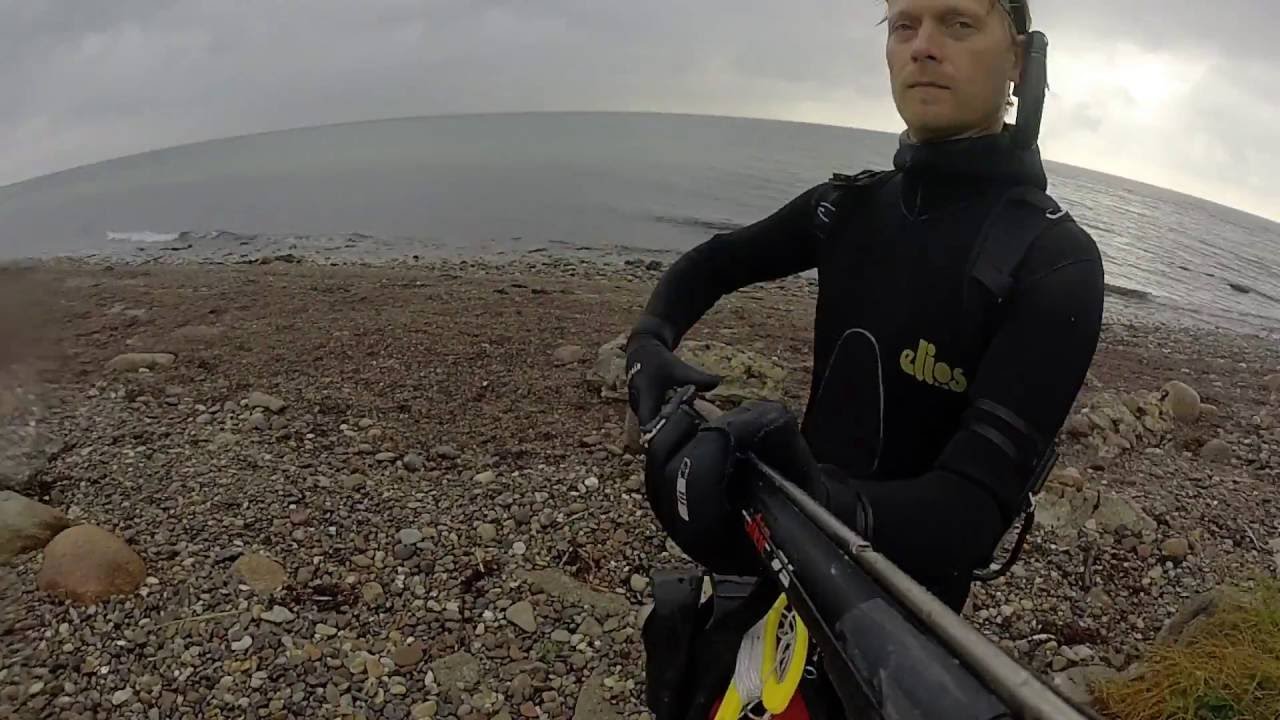 Spearfishing in Denmark - Weekend at Langeland - 2016 - Uvjagt