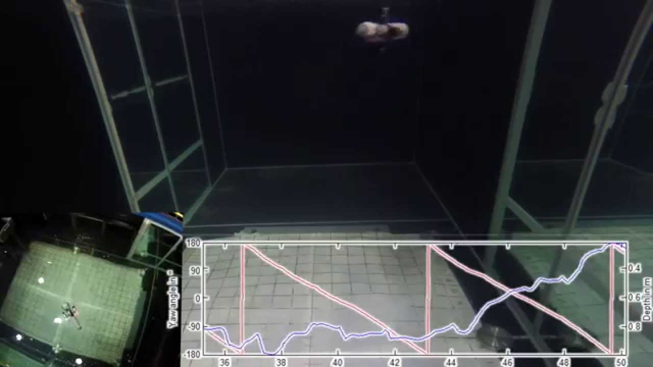HippoCampus - A &micro;AUV Research Platform for Swarm Robotics
