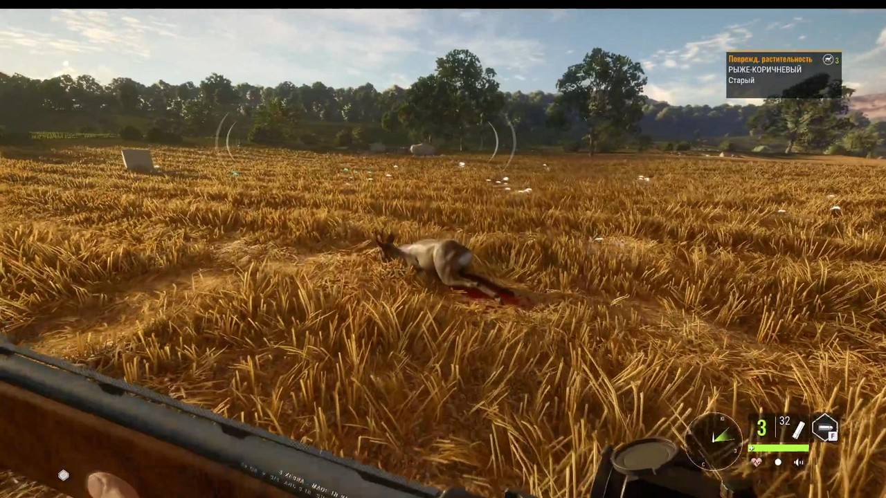 TheHunter Call of the willd Косуля