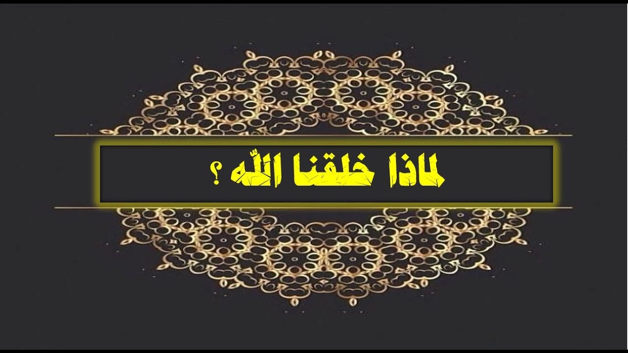 لماذا خلقنا الله ؟ | عبدالدائم الكحيل