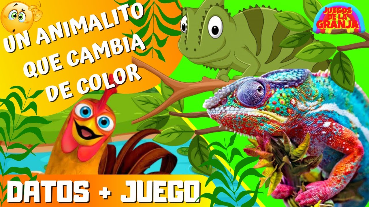 BARTOLITO PREGUNTA.UN ANIMALITO QUE CAMBIA DE COLOR.