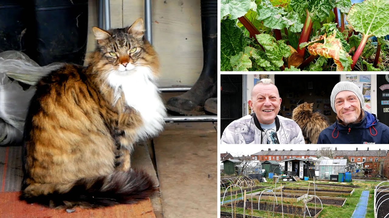 Vlog 90 - Our Allotment Adventures