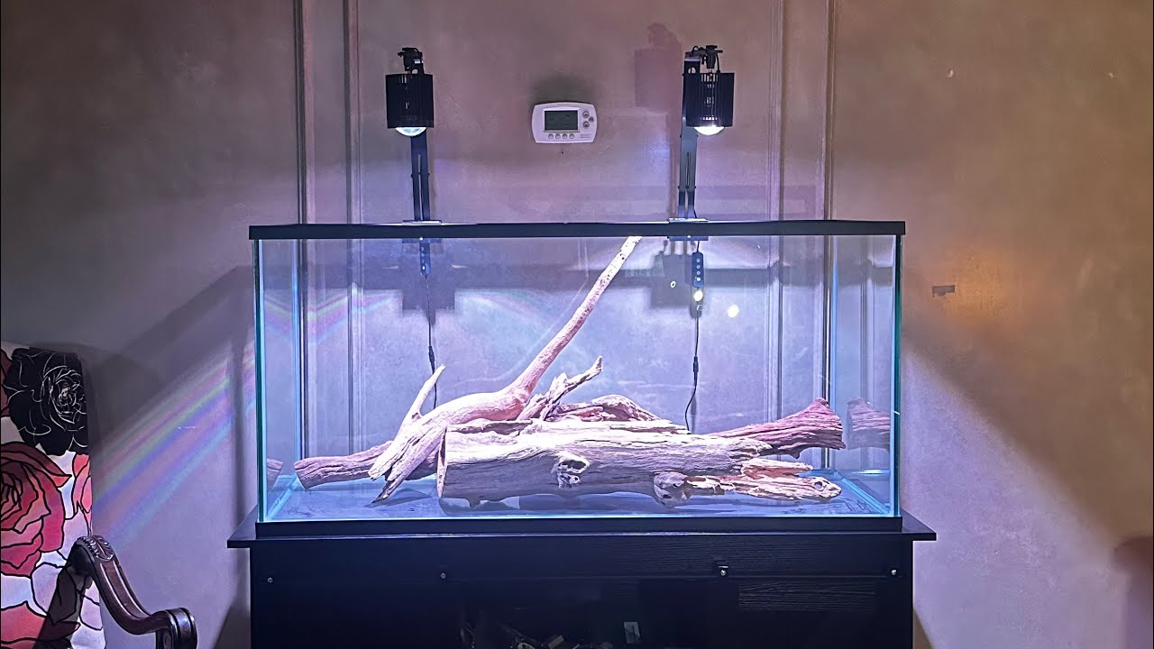 From 20 Gallons to 75… Am I Ready? (Beginner Aquarium Upgrade)