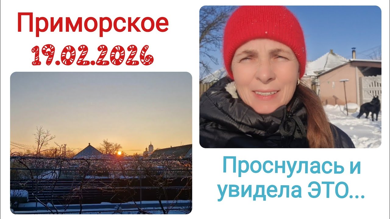 Измаильский район. 19.02.26. БЕЗ СВЕТА. ЗАТО СО СНЕГОМ! ПОЧЕМУ НЕ ПОЛУЧИЛОСЬ?