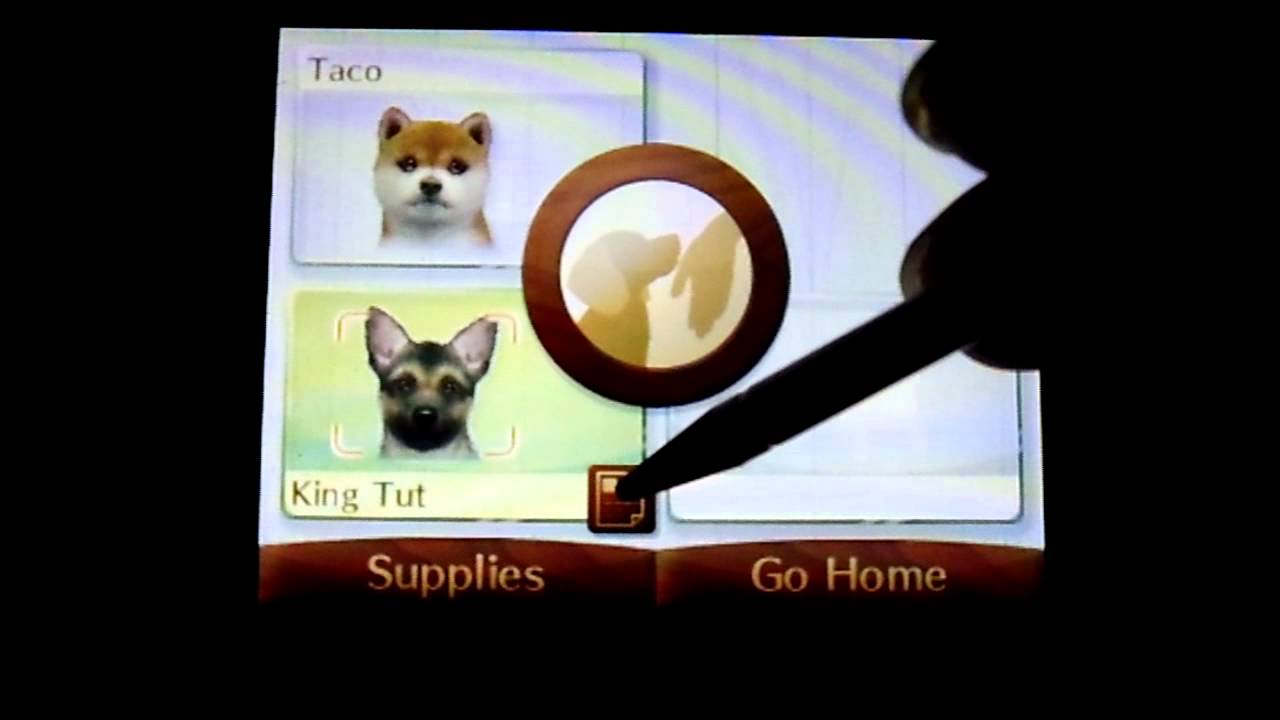 Nintendogs + Cats: Spotpass 5 - Herbert Hoover