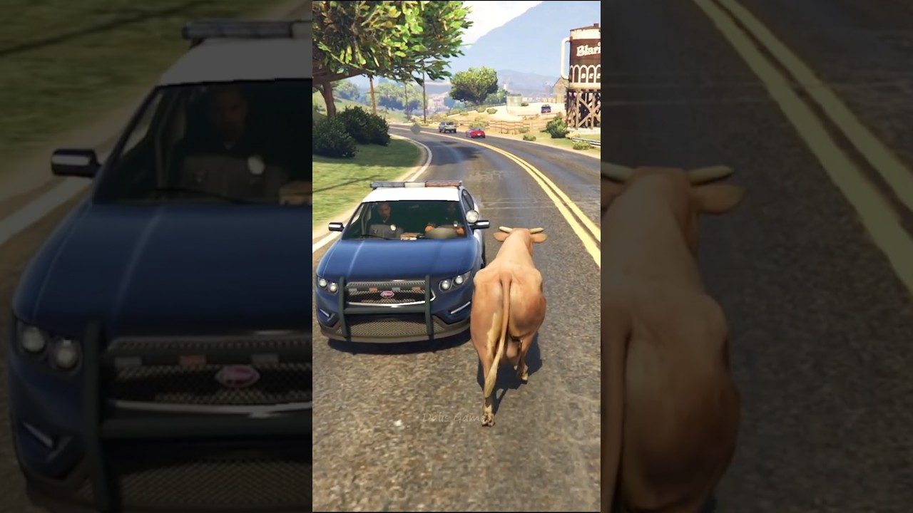 GTA 5 - This Cow Just Hijacked a Police Car 😱#gta5 #gtav #gta6 #gtavi #gta5funny #gta5funnyshorts