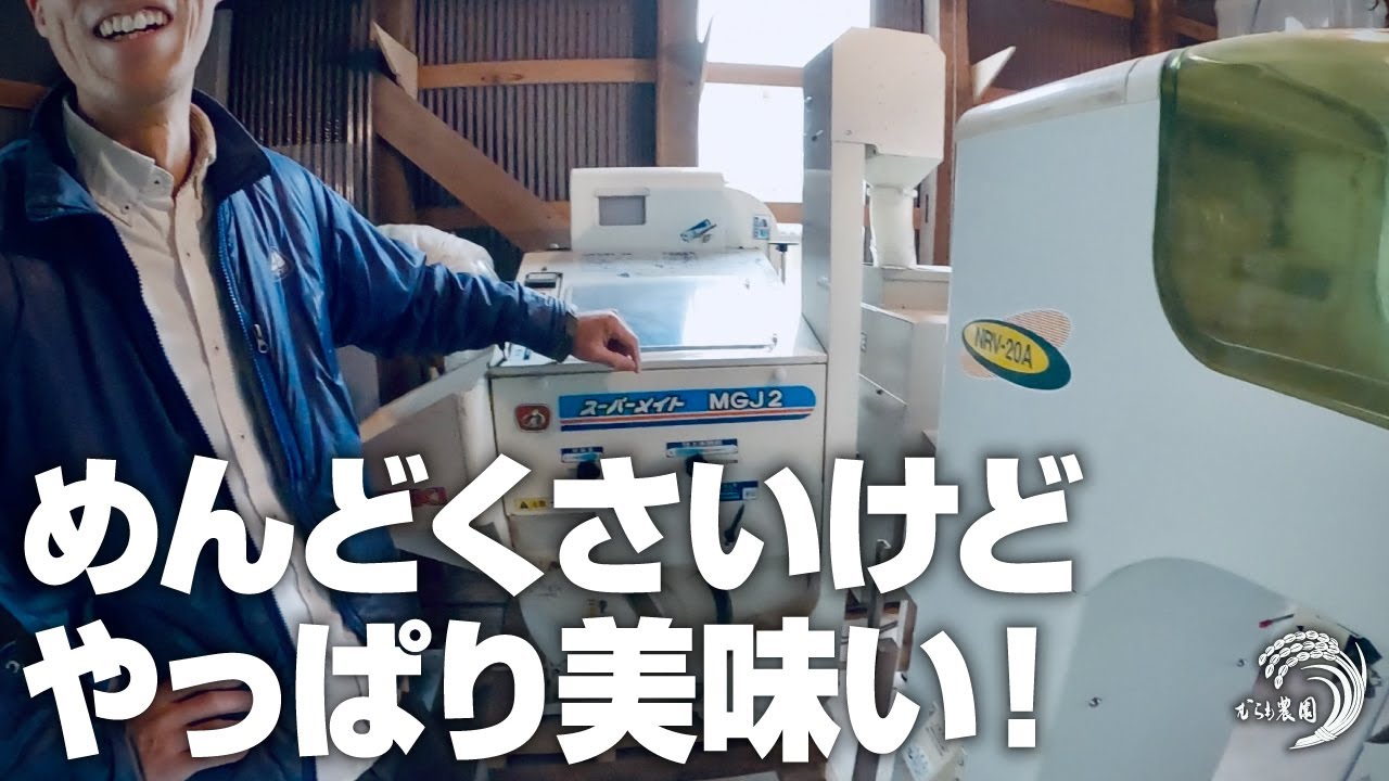【昭和の籾すり？！】むらも農園は籾のまま米を保管しているので何度でも籾すりします。熟成米とまでは行きませんけども〜。しょぼい百姓的・籾すり風景。