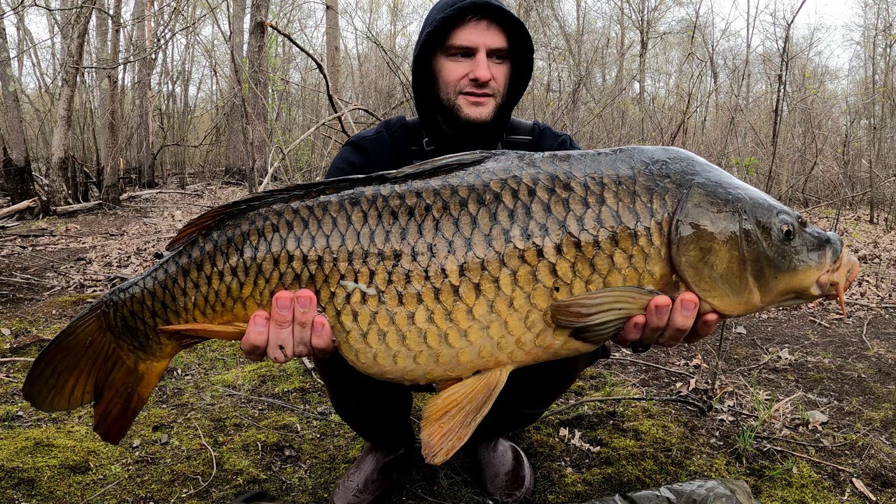 Massachusetts Giant Carp Fishing- 3 state pin fish caught!