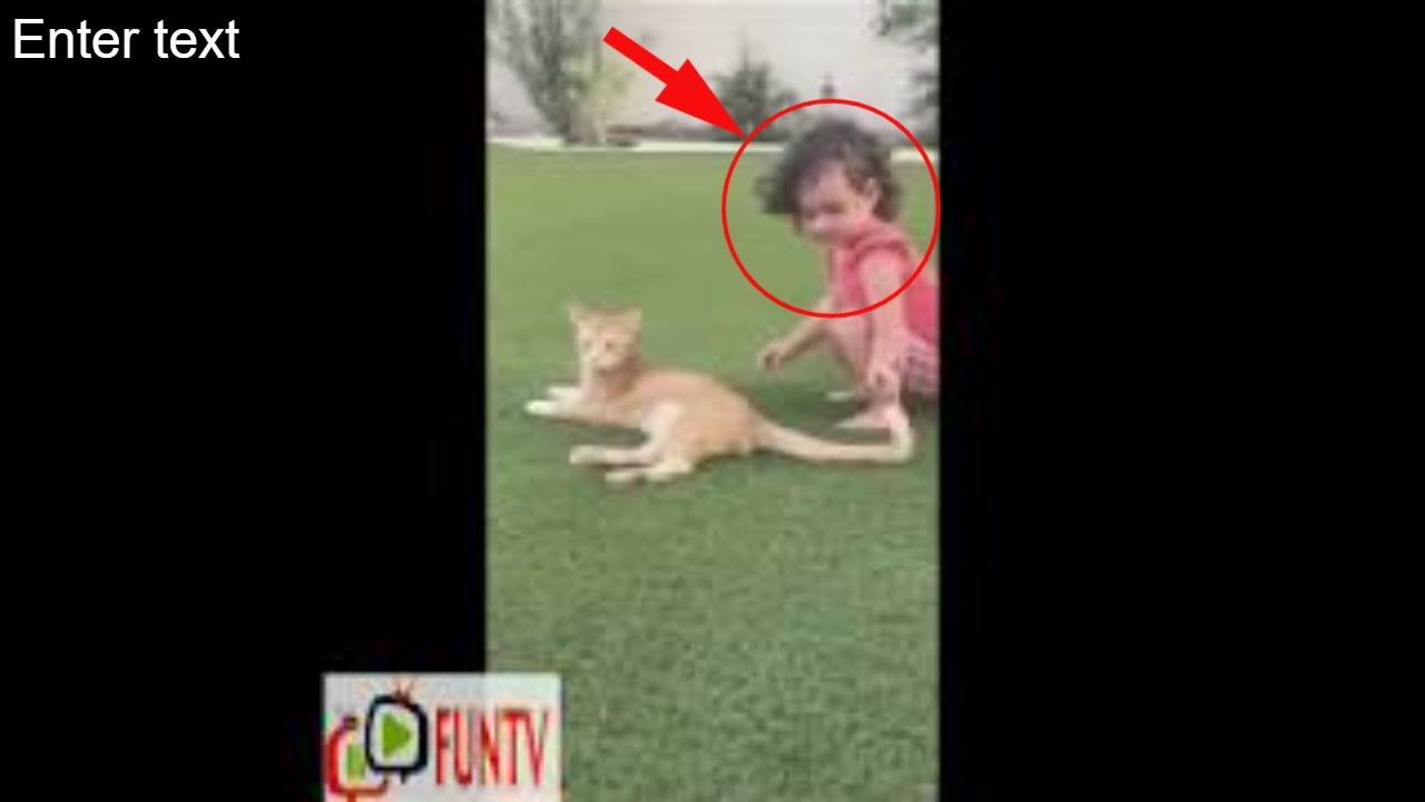 Best Funny Compilation June 2020 |Best Epic Fails June 2020