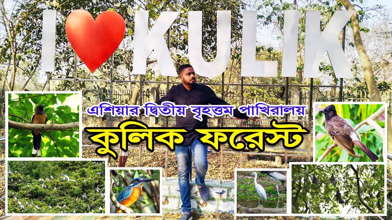 kulik forest bird sanctuary | raiganj (kulik) bird & wildlife sanctuary Complete Tour Guide