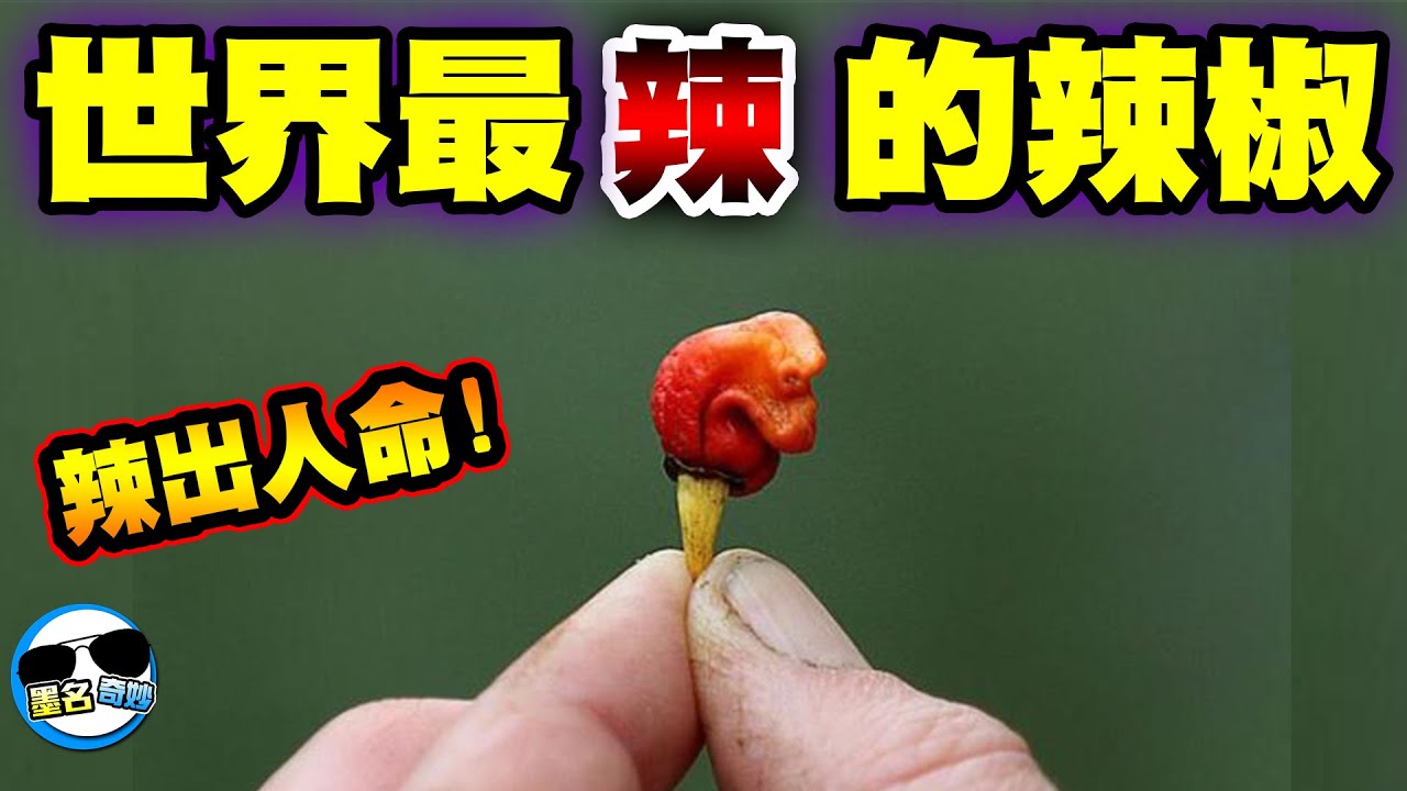 十大世界最辣的辣椒！第一名是上帝對人的懲罰！吃一口喝光你家馬桶水也沒用！