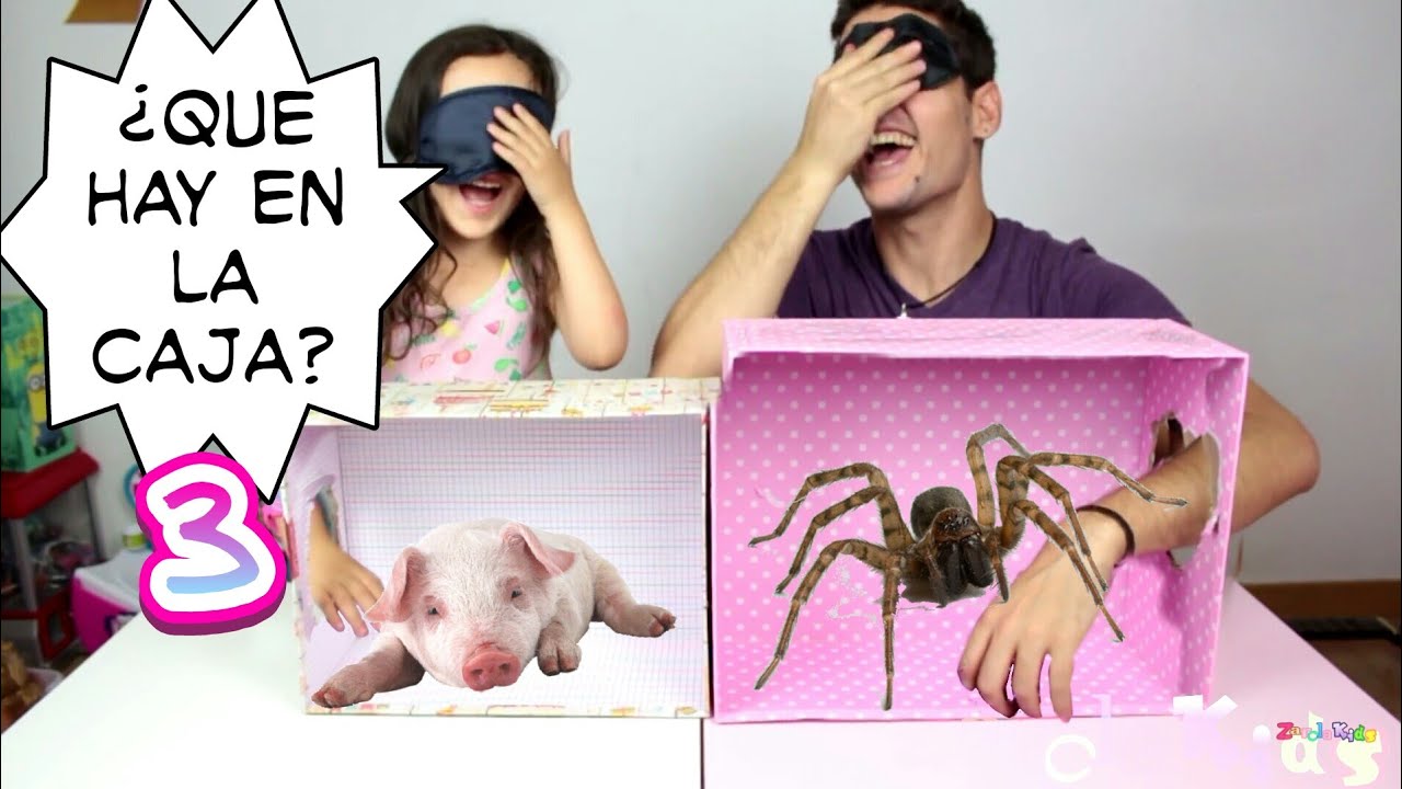 ¿QUÉ HAY EN LA CAJA? WHAT´S IN THE BOX CHALLENGE 📦 -ZarolaKids- caja a ciegas 3