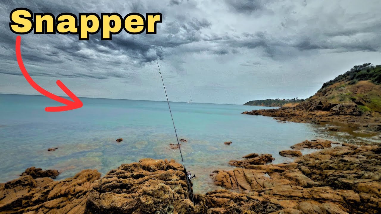 Morning Fishing of the Mt Martha Rocks ✅ Land based Fishing Melbourne