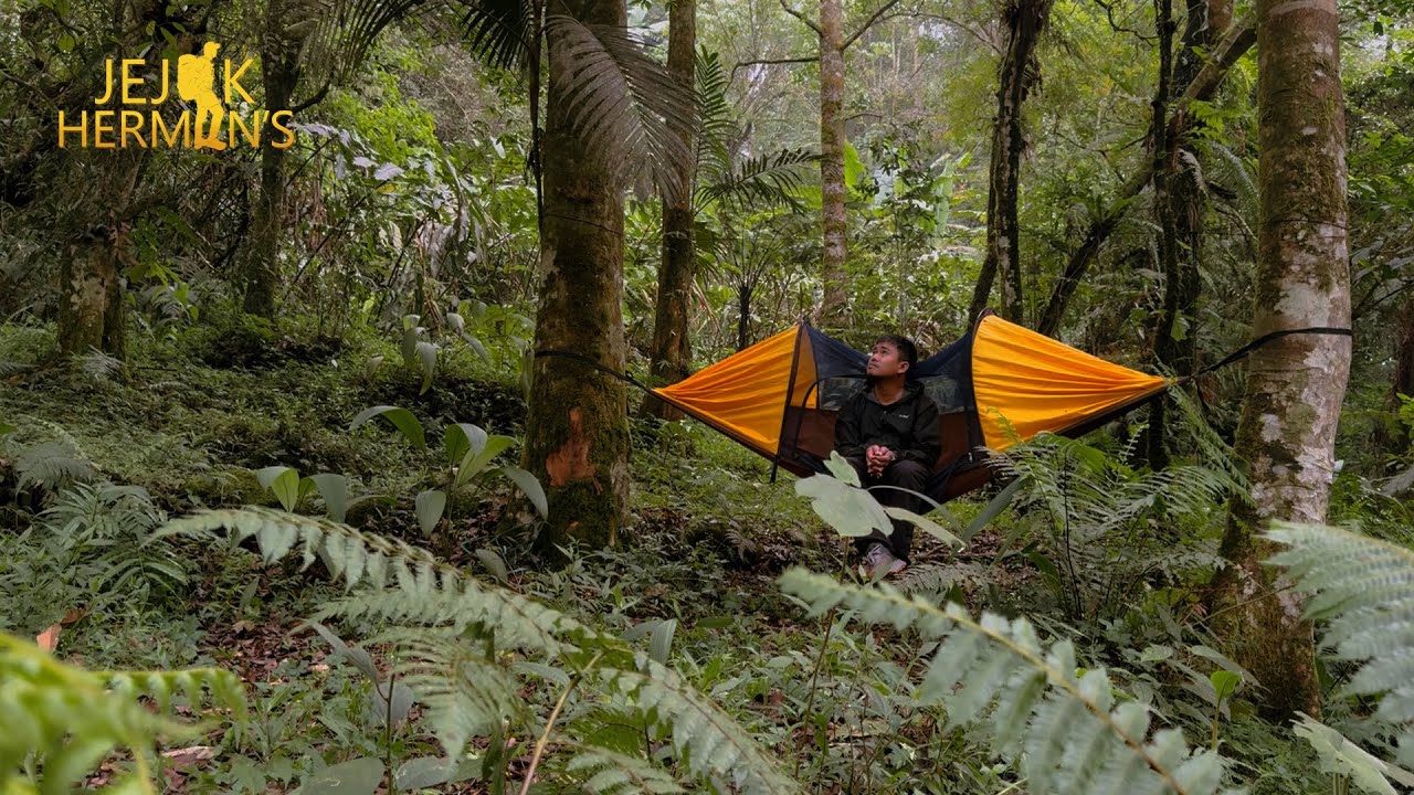HARI APES | BERMALAM DI HUTAN MENGGUNAKAN HAMMOCK | SOLO CAMPING