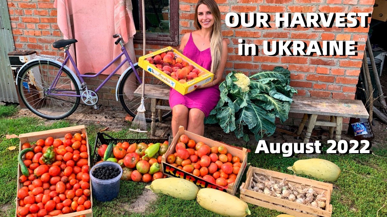 VILLAGE LIFE in UKRAINE l Our Harvest 2022