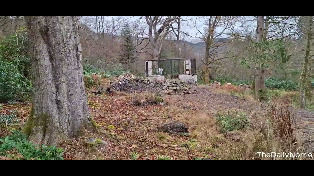 Peaceful Walk by a Scottish Lake | Can You Guess Where This Is?