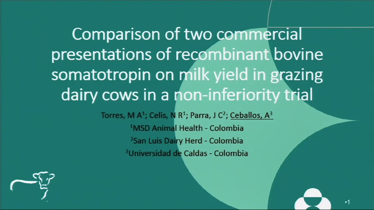 Comparison of two commercial presentations of recombinant bovine somatotropin on...