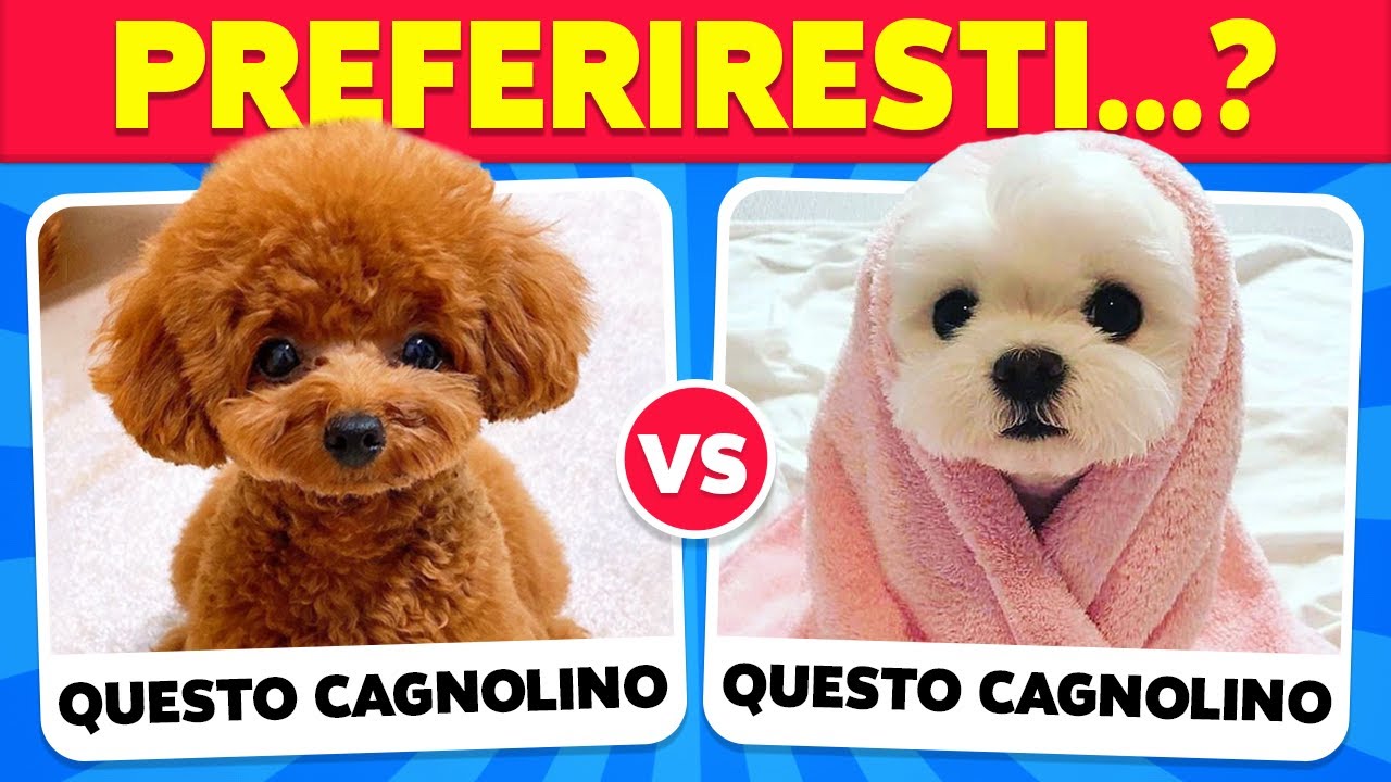 Preferiresti...? Edizione ANIMALI 🐶😺
